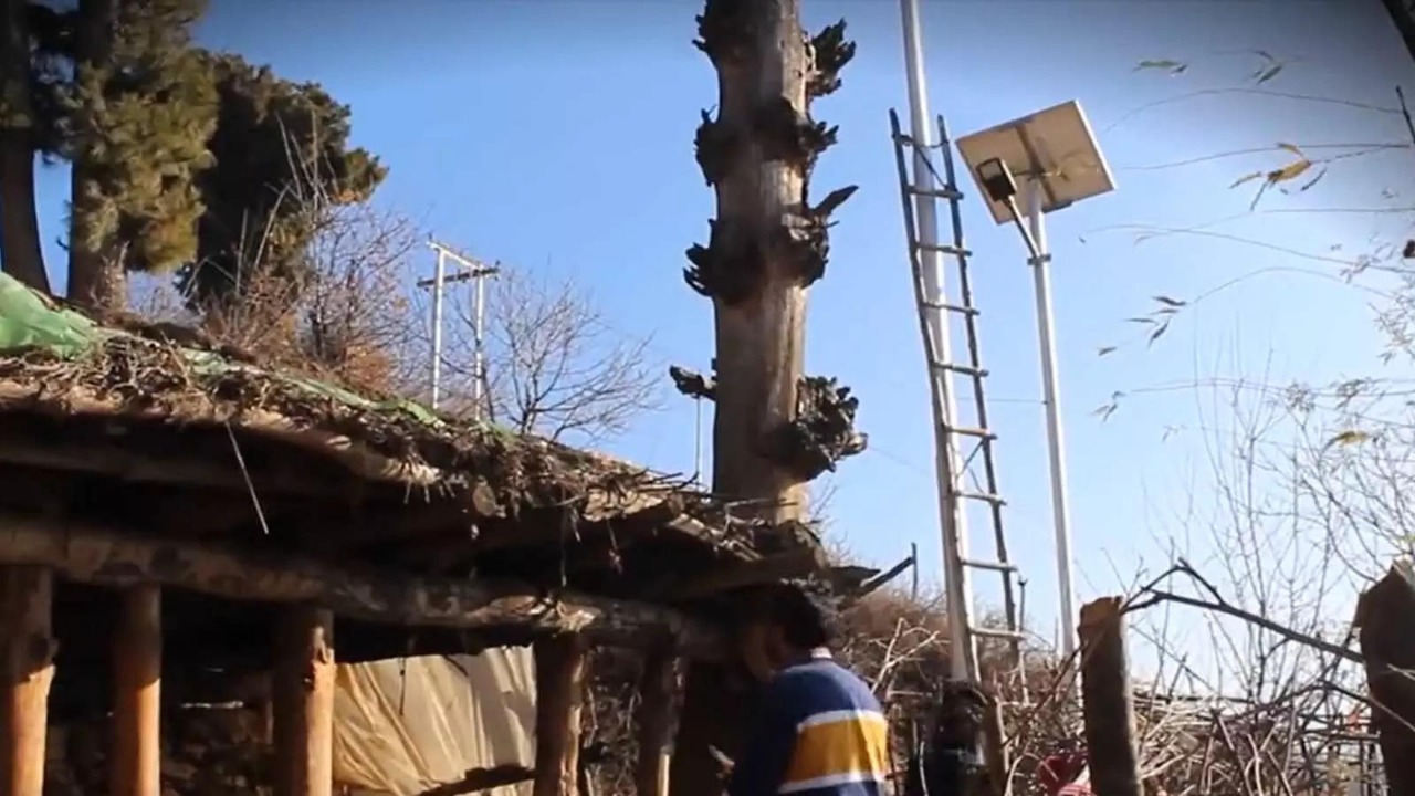 This Kashmir Village Gets Electricity first time After 75 Years