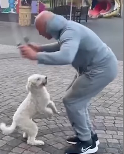 Dog With World Record For Most Skips On Hind Legs Video
