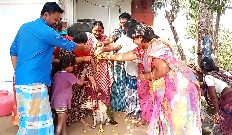 Namakkal couple arranged baby shower function for their dog