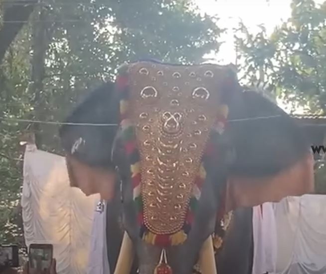 Kerala robotic elephant used in temple function first time in country