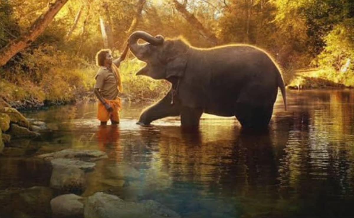 kartiki gonsalves Oscars Winner The Elephant Whisperers Documentary Short
