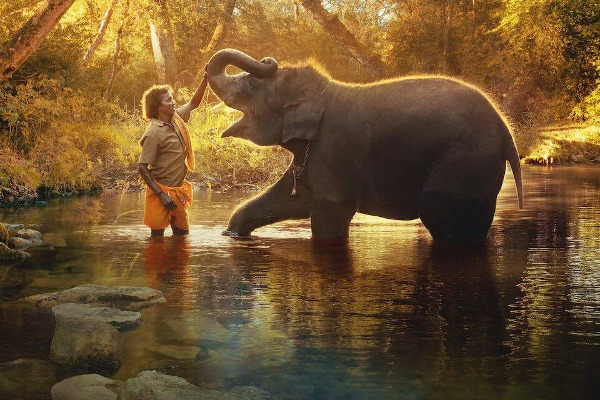 The Elephant Whisperers Director Kartiki Gonsalves byte